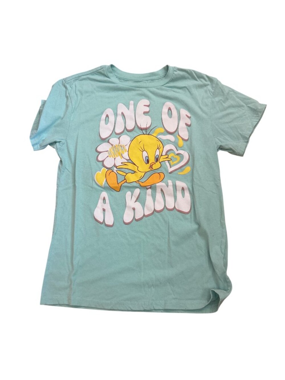 Looney Tunes Tweety Bird Womens T-Shirt M "One Of A Kind" Graphic Mint Green